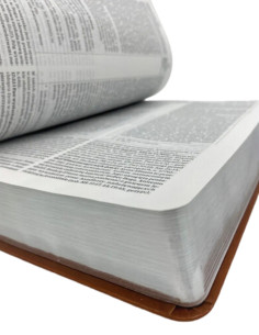 Biblia FireBible - Biblia dla charyzmatyków,  duża,... 2